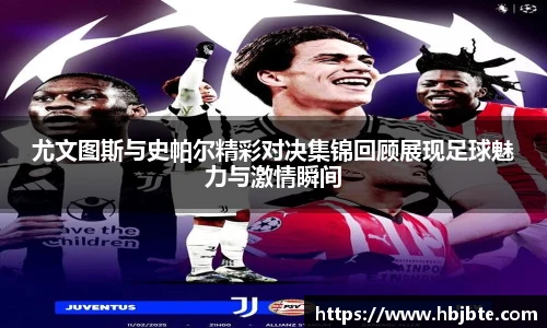 15vip太阳成